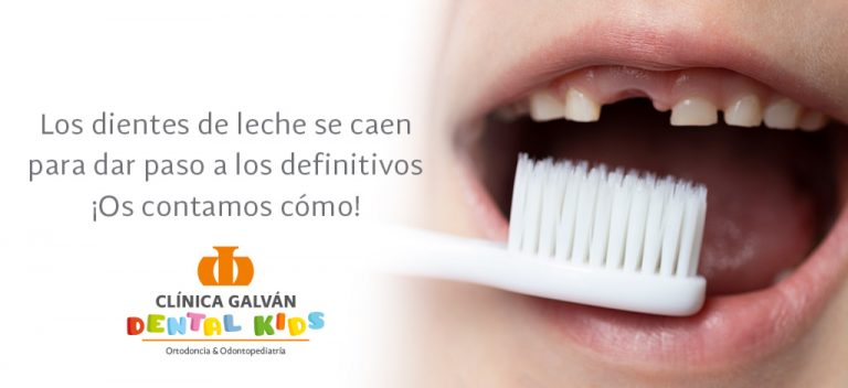 ¿Cuándo se caen los dientes de leche? | Galván Kids